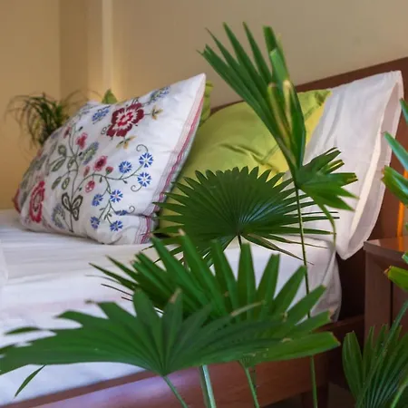 Domomea - Vespucci 4 *