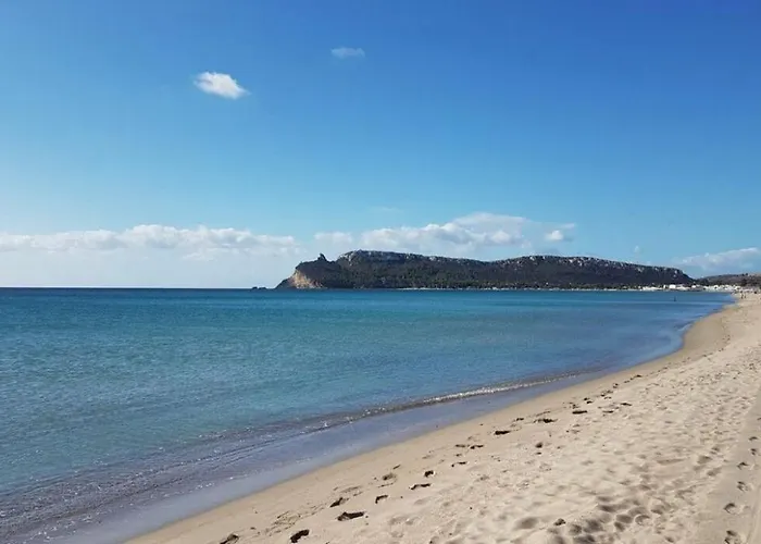 Domomea - Vespucci 4 Daire *