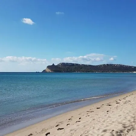 Domomea - Vespucci 4 דירה *